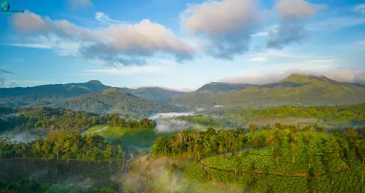 Worst Time to Visit Wayand